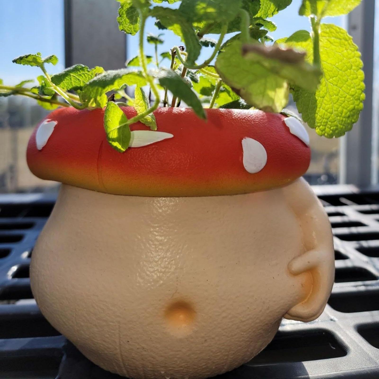 Amazon.co.jp: zwxqe フラワー プランター | かわいいキノコ